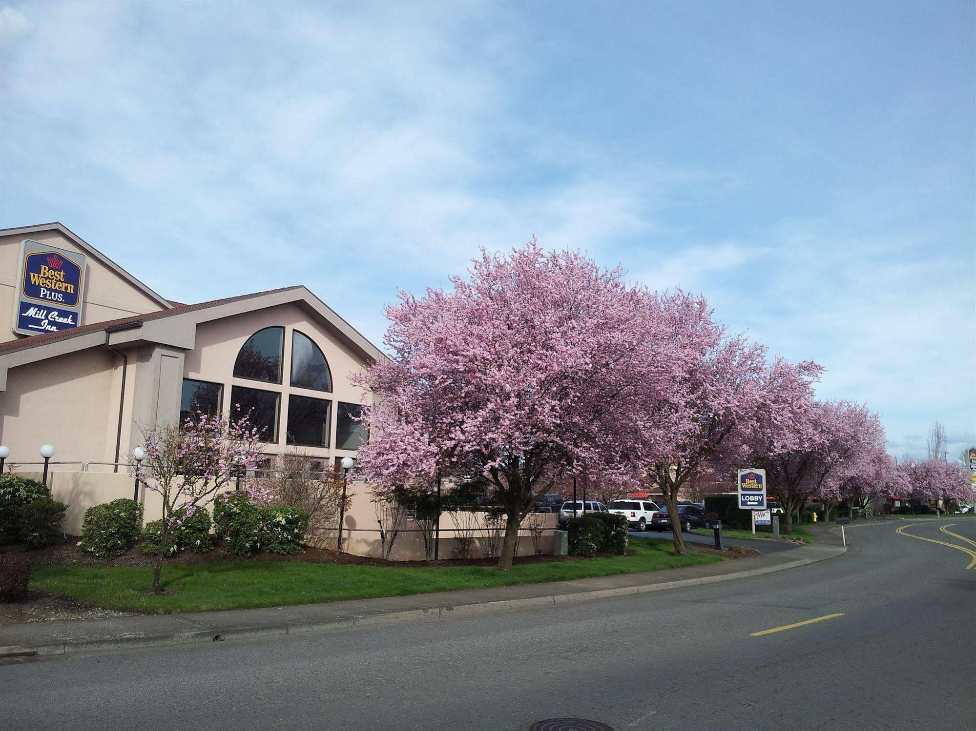 Best Western Plus Mill Creek Inn Salem Buitenkant foto